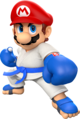 Mario doing Karate