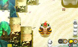 Bowser in Plack Beach