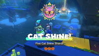 Collecting a Cat Shine in Bowser's Fury