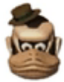 Uncle Kong's head as seen in Super Donkey Kong 2: Dixie & Diddy Kōryaku Guidebook Kanzenhan