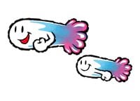Artwork of Gusties in Yoshi Topsy-Turvy (later reused for Yoshi's Island DS)
