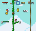 Gnarly SMW.png