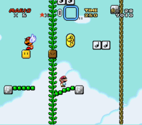 Gnarly SMW.png