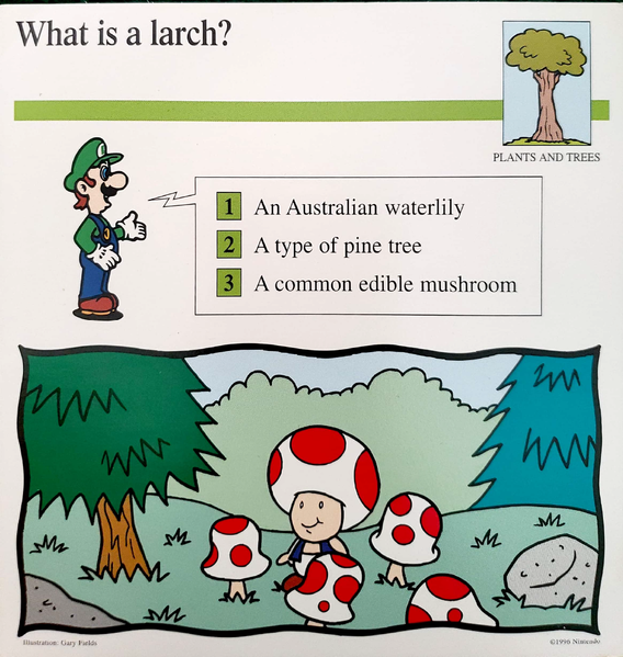 File:Larch quiz card.png