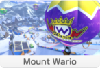 Mount Wario