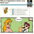 Mario Quiz Cards