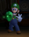 Luigi finds a green Stone.