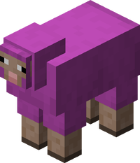 Minecraft Sheep Magenta.png