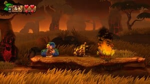 Donkey Kong and Dixie Kong at a cluster of Water Sacks in Scorch 'n' Torch from Donkey Kong Country: Tropical Freeze