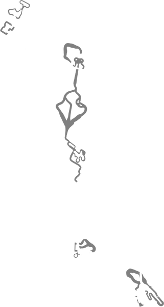 File:Spiny Rally Both.png