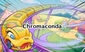 Chromaconda