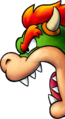 Bowser seen on the box artwork