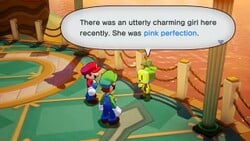 Mario and Luigi speaking with a resident on Merrygo Island to begin the A Vision in Pink side quest in Mario & Luigi: Brothership.