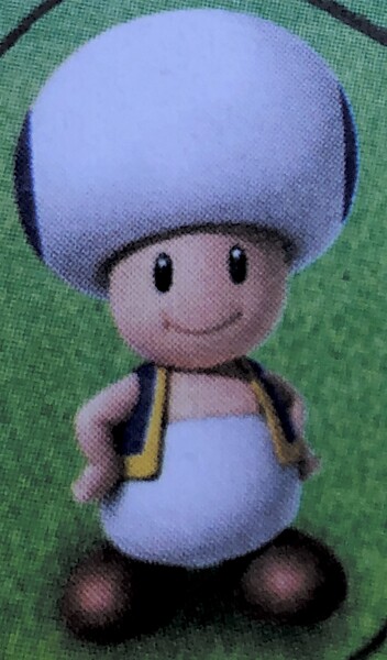 File:SMOSB Imposter Toad 3.jpg