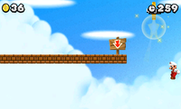 NSMB2 W1-1 3rd Star Coin.png