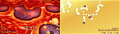 Thumbnail for version as of 22:45, August 10, 2026