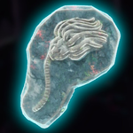 A fossil in Donkey Kong Bananza