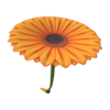 Flower Glider from Mario Kart Tour