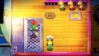 Mario and Luigi about to have their photographs taken in Mario & Luigi: Superstar Saga + Bowser's Minions