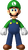 Artwork of Luigi from New Super Mario Bros. Wii.