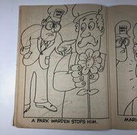 Park warden