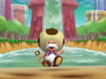 Rolling Toadsworth Waterfall.png