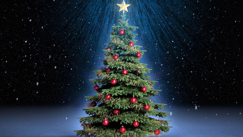 File:Beautiful-Christmas-Trees 06.jpg