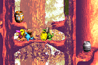 The Kongs find the Koin of Springin' Spiders in the Game Boy Advance remake
