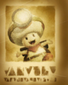 Poster in Captain Toad: Treasure Tracker