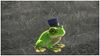A frog with a tiny top hat.