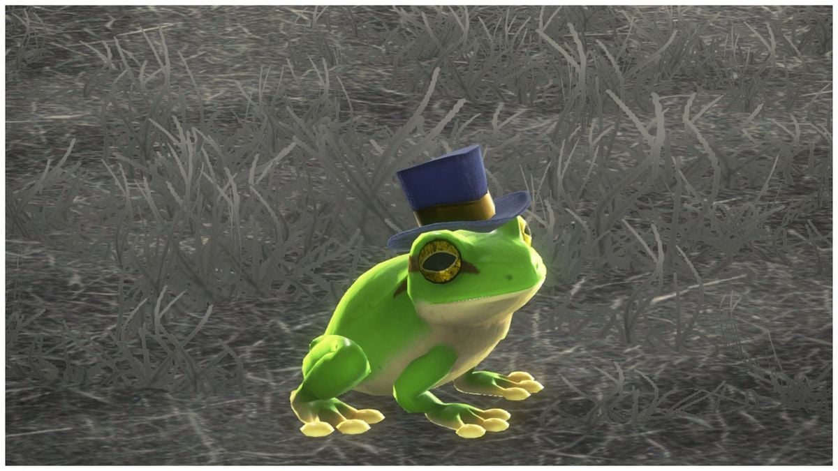 File:Frog Odyssey.jpg - Super Mario Wiki, the Mario encyclopedia