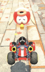 Cheep Cheep performing a trick.