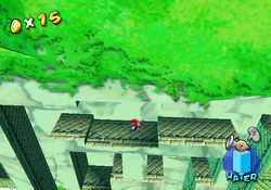 The Boss of Tricky Ruins from Super Mario Sunshine
