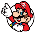 Mario icon