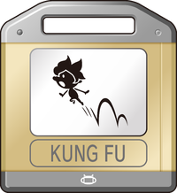 Kung Fu Game & Wario.png