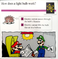 "How does a light bulb work?"