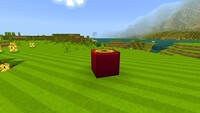 Minecraft Mario Mash-Up Jukebox.jpg