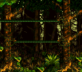 Horizontal ropes in jungle from Donkey Kong Country 3: Dixie Kong's Double Trouble