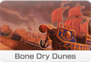 Bone Dry Dunes