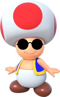 Mario Party 9 Toad Sunglasses Artwork
