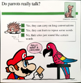 "Do parrots really talk?"