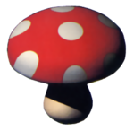 Mushroom