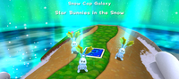 Star Bunnies in the Snow.png