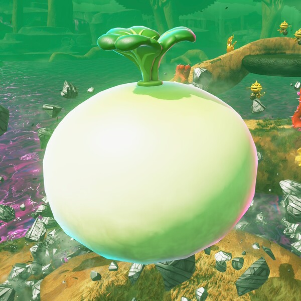 File:DKB Giant Turnip.jpg