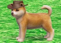 A Nintendog from Super Mario Odyssey wearing a hat
