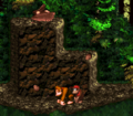 The Kongs stand near the entrance to the third Bonus Level.