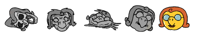5/5