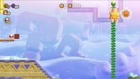 The fifth Wonder Token in the level Search Party Puzzling Park in Super Mario Bros. Wonder