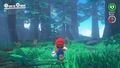 Mario in the Wooded Kingdom.