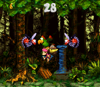 The Kongs and Squawks in the second Bonus Level of Stampede Sprint